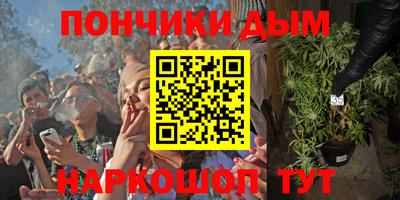 прущие грибы Можга