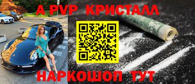 прущие грибы Можга