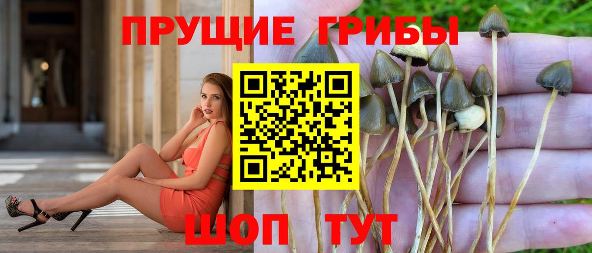 Галлюциногенные грибы ЛСД Керчь