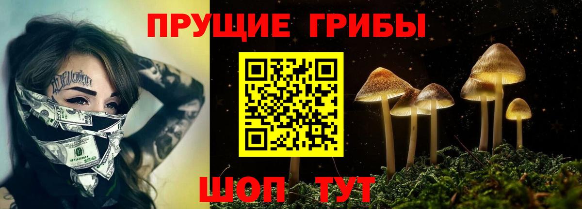 Псилоцибиновые грибы Cubensis  Псилоцибиновые грибы Psilocybine cubensis  Керчь  магазин продажи наркотиков  Вход с VPN 